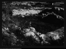 Tykocin, ruiny zamku