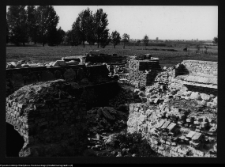 Tykocin, ruiny zamku