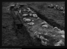 Tykocin, ruiny zamku