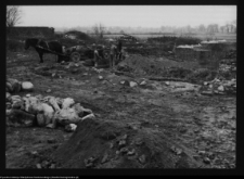 Tykocin, ruiny zamku