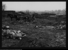 Tykocin, ruiny zamku