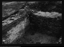 Tykocin, ruiny zamku