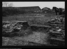 Tykocin, ruiny zamku