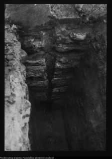 Tykocin, ruiny zamku