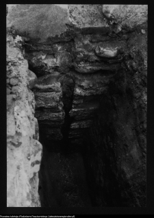 Tykocin, ruiny zamku