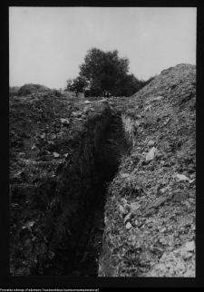 Tykocin, ruiny zamku