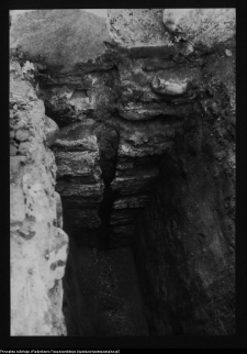 Tykocin, ruiny zamku