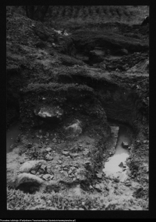 Tykocin, ruiny zamku