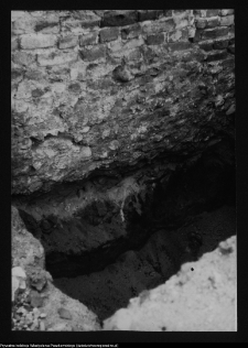 Tykocin, ruiny zamku