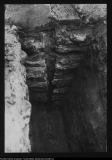 Tykocin, ruiny zamku