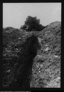 Tykocin, ruiny zamku