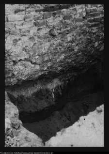 Tykocin, ruiny zamku