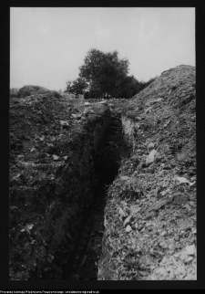 Tykocin, ruiny zamku