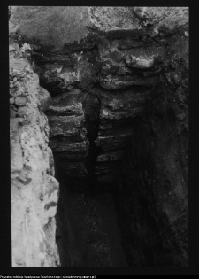 Tykocin, ruiny zamku