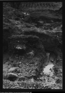 Tykocin, ruiny zamku