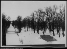 Choroszcz, park pałacowy