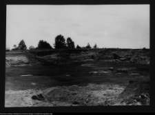 Tykocin, ruiny zamku