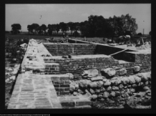 Tykocin, ruiny zamku