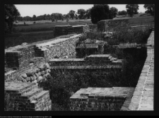 Tykocin, ruiny zamku