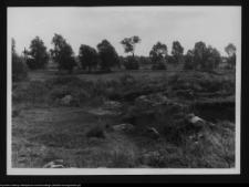 Tykocin, ruiny zamku