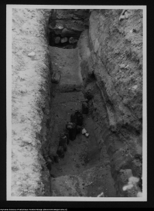 Tykocin, ruiny zamku