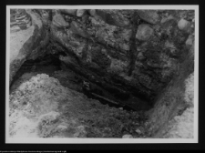 Tykocin, ruiny zamku