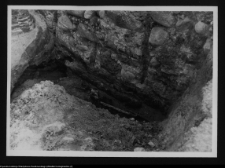 Tykocin, ruiny zamku