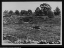Tykocin, ruiny zamku
