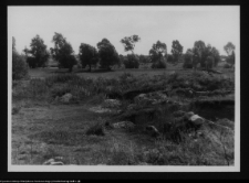 Tykocin, ruiny zamku