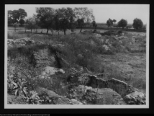 Tykocin, ruiny zamku