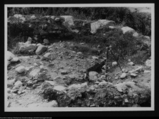 Tykocin, ruiny zamku