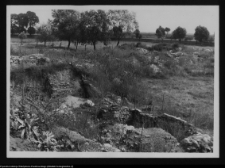 Tykocin, ruiny zamku