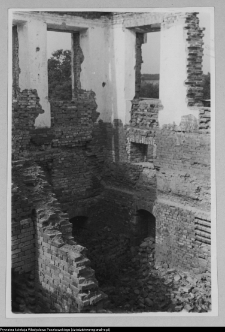 Tybory-Kamianka, Pałac Roszkowskich