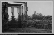 Tybory-Kamianka, Pałac Roszkowskich