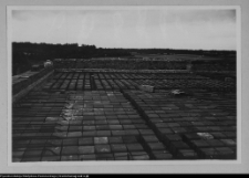 Tybory-Kamianka, Pałac Roszkowskich, układanie stropu nad parterem