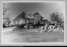 Tybory-Kamianka, Pałac Roszkowskich