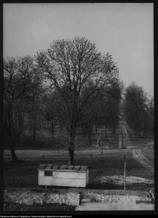 Ciechanowiec, park pałacowy