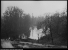 Ciechanowiec, park pałacowy