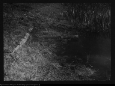 Tykocin, konstrukcja ruszt&oacute;w bastionowych zamku