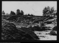 Tykocin, fragment mur&oacute;w zamku