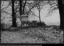 Szczyty-Nowodwory, fragment bramy dworu