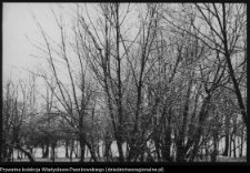 Szczyty-Nowodwory, park dworski