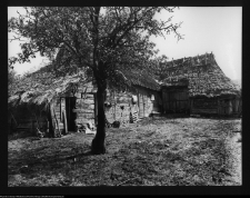 Obniże nr 6