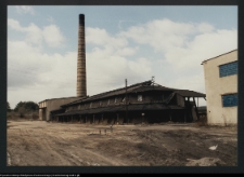 Kozowszczyzna, ruiny cegielni