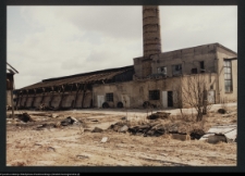 Kozowszczyzna, ruiny cegielni