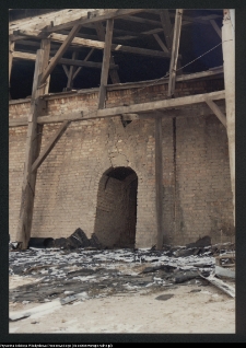 Kozowszczyzna, ruiny cegielni