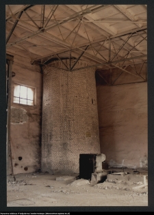 Kozowszczyzna, ruiny cegielni