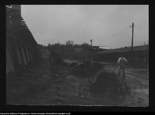 Kozowszczyzna, ruiny cegielni