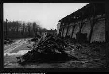 Kozowszczyzna, ruiny cegielni