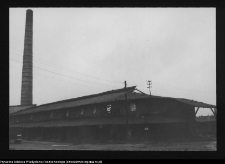 Kozowszczyzna, ruiny cegielni